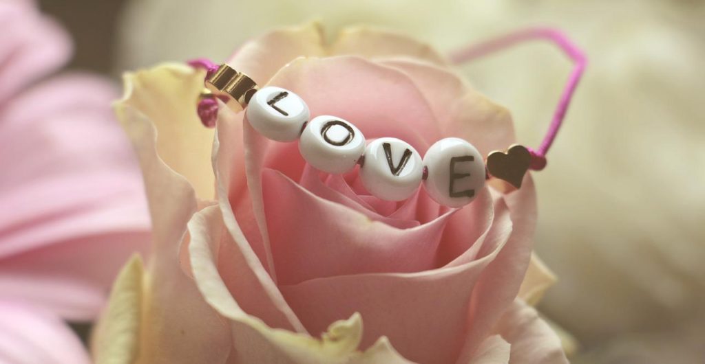 love, rose, flower-3388646.jpg