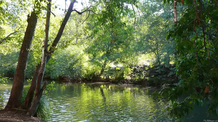 image represents relaxing river in jerome arizona