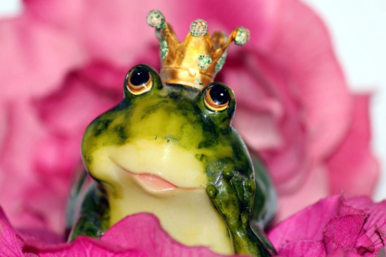 frog prince, crown, flower-1370022.jpg