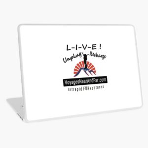 Laptop Skin