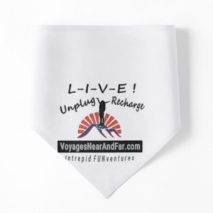 Pet Bandana